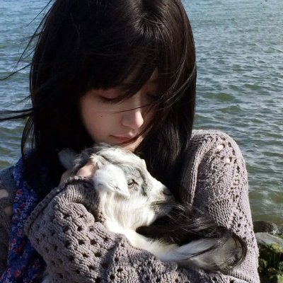 执行局长